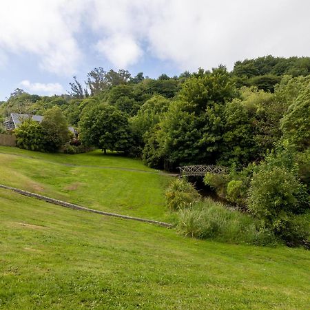 In Town, Close To Nature Apartment Dunedin Bagian luar foto